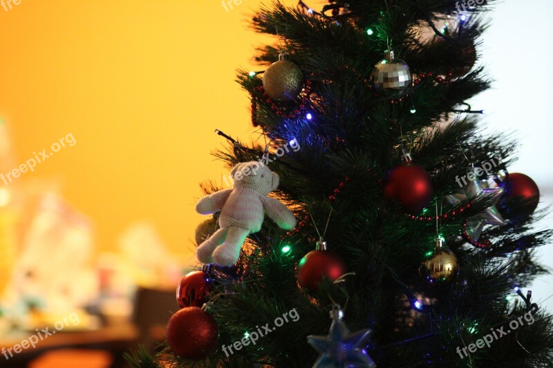 Christmas Tree Bear Free Photos