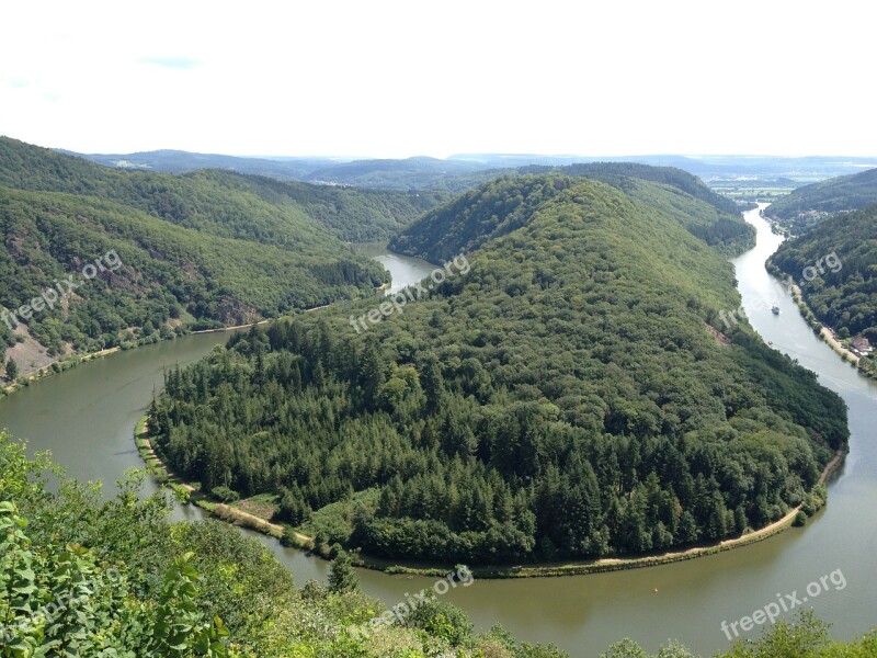 Saarland Forest Nature Trees River