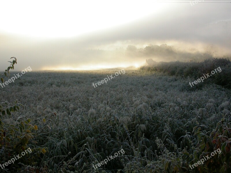 Morning Mist Winter Mood Frost Free Photos