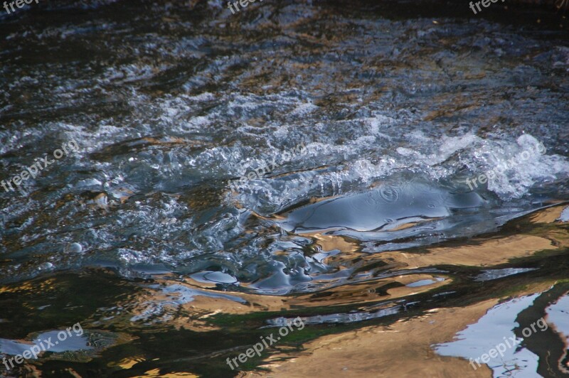 Water Mehaigne Movement River Nature