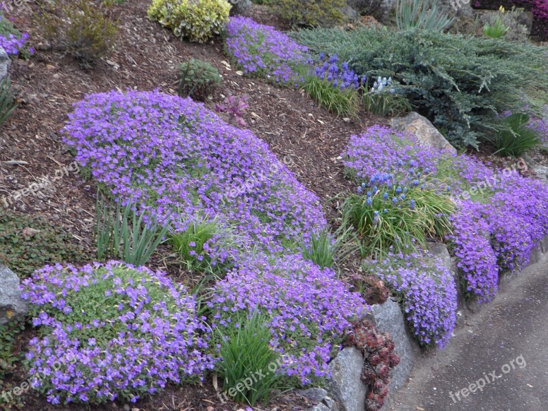 Spring Garden Blue Pillow Blütenmeer Blue