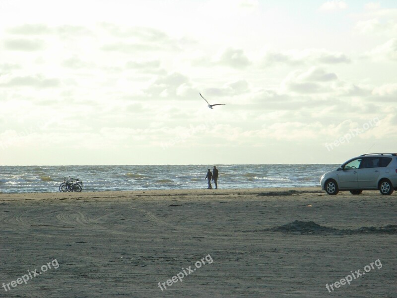 Baltic Sea Denmark Sea Seagull Hamilton Beach