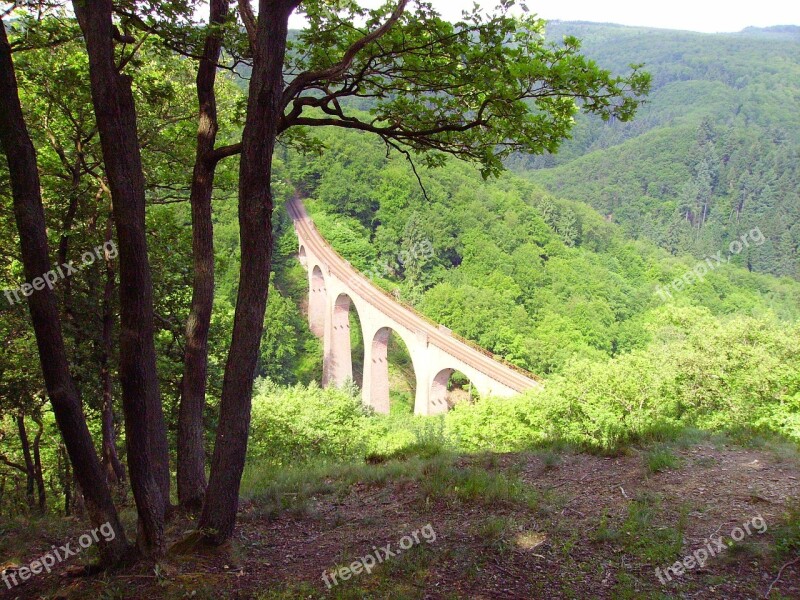 Forest Glade Viaduct Railway Bridge Middle Rhine