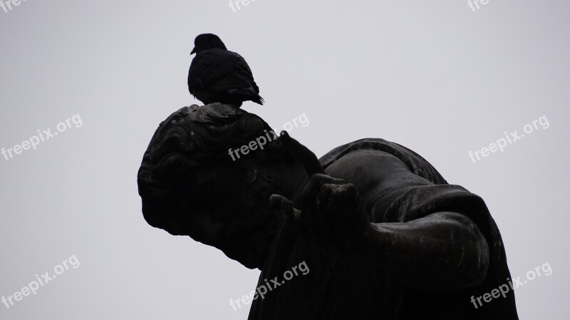 Vienna Bird Statue Art Birds