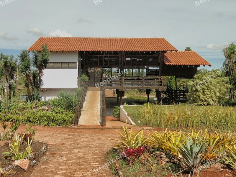 Brasilia Brazil Tea Garden Botanical Garden Landscape