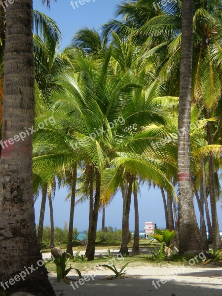 Palmas Landscape Colombia San Andres Islands