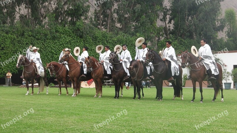 Horses In Restaurant Of Peru