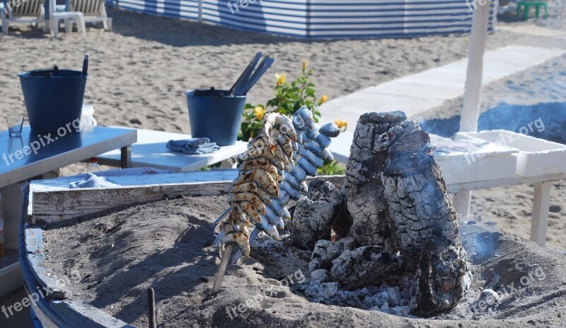 Fish Grill Charcoal Beach Sea