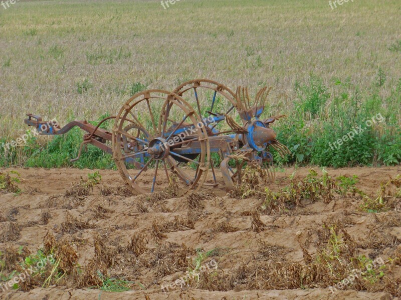 Potatoes Kartoffelernter Vegetables Agriculture Potato Harvest