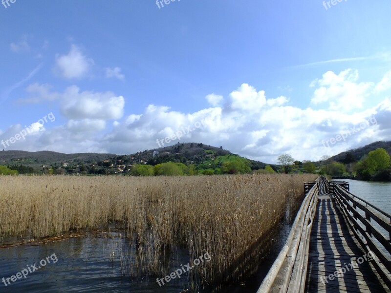 Web Nature Water Lake Landscape