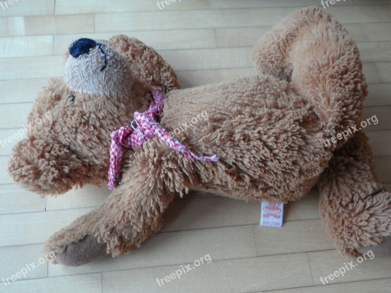 Teddy Careless Thrown Away Leave Lonely