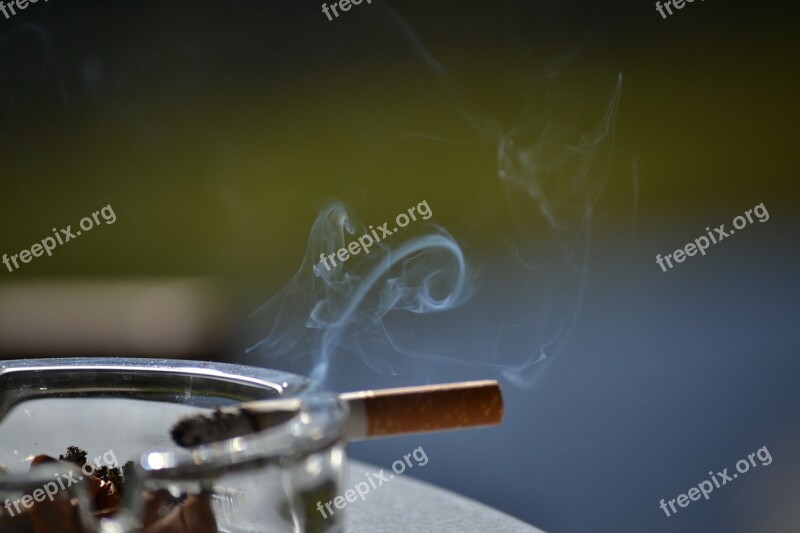 Tobacco Smoke Smoking Cigar Cigarette Butt Free Photos