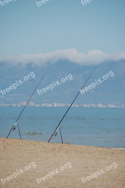 Fishing Sea Calm Patience Free Photos