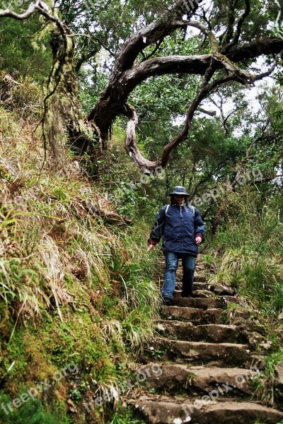 Madeira Highlands Mountains Summit Levada