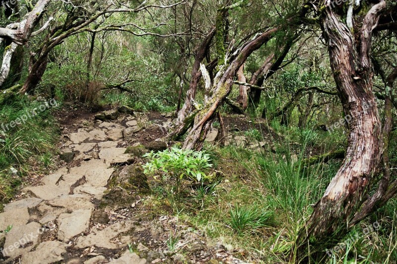 Madeira Highlands Mountains Summit Levada