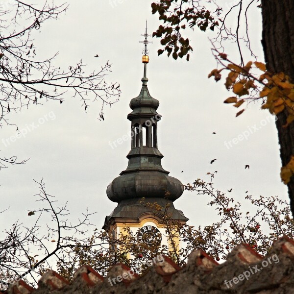 Crows Birds Tower Steeple Wall