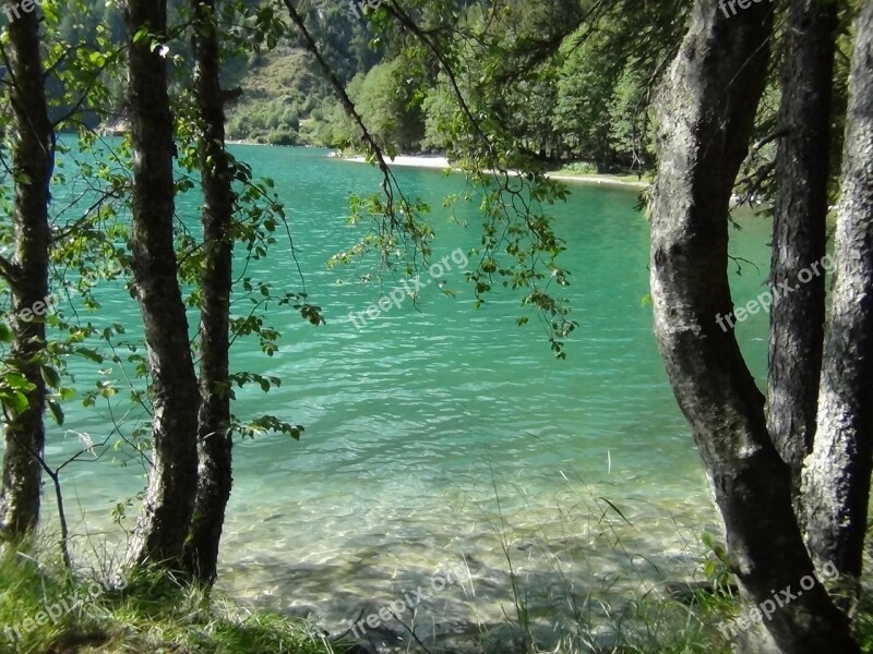 Lake Bay Trees Clear Water