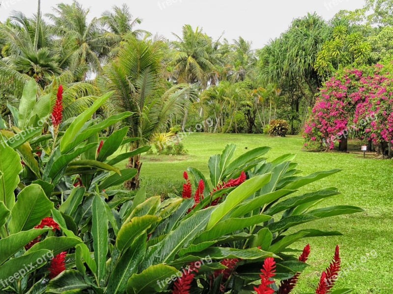 Guan Landscape Scenic Plants Flowers