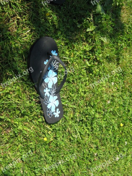 Meadow Flip Flops Shoe Summer Foot