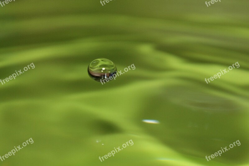 Drip Liquid Green Water Free Photos