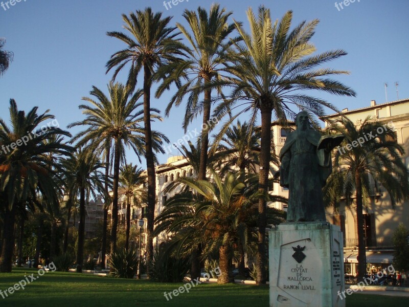 Palm Trees Monument Palma De Mallorca Ramon Llull Sculpture