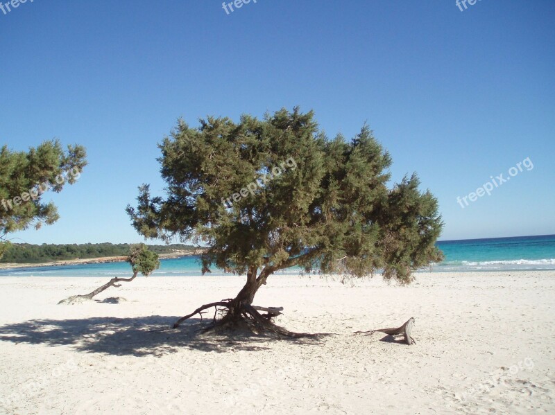 Beach Sea Sand Beach Sand Coast