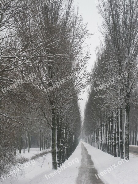 Netherlands Landscape Scenic Winter Snow