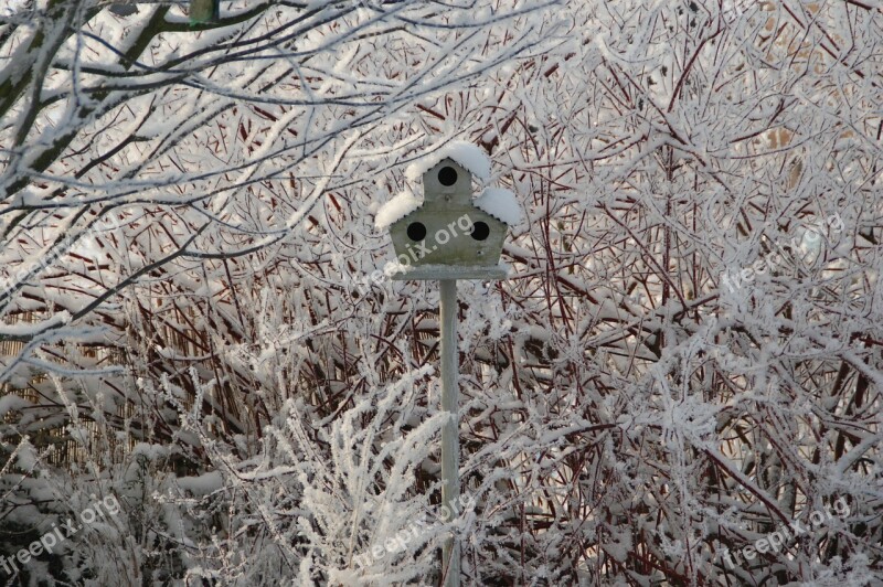 Nest Box Snow Winter Nature Free Photos