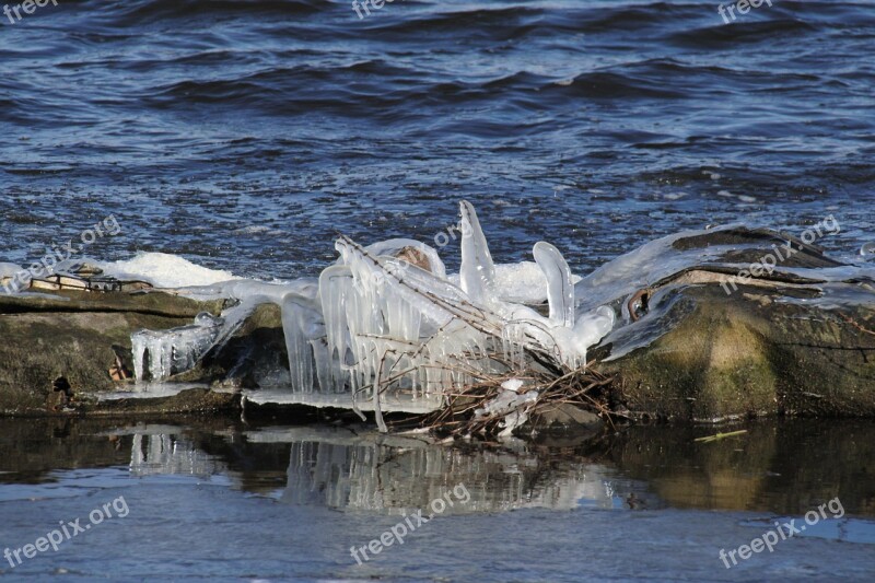 Eisgewaechs Alster Hamburg Water Ice