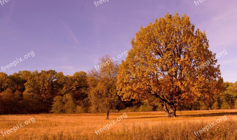 Fall Colors Fall Leaves Autumn Colors Leaves