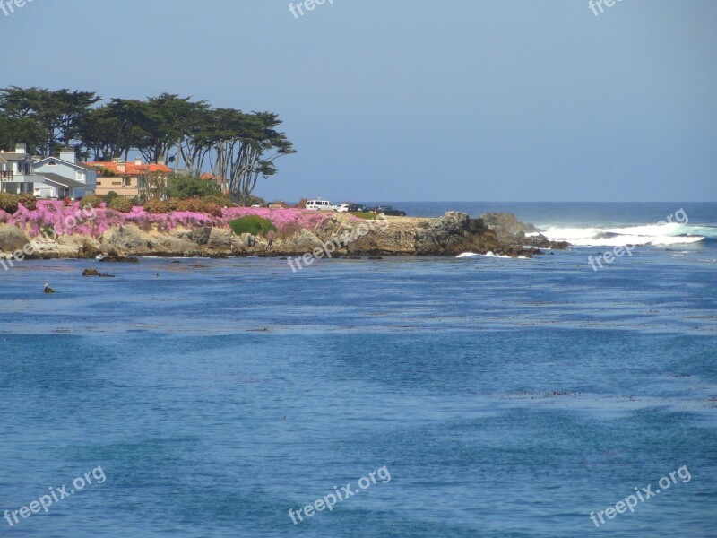 Pacific Grove California Sea Ocean Water