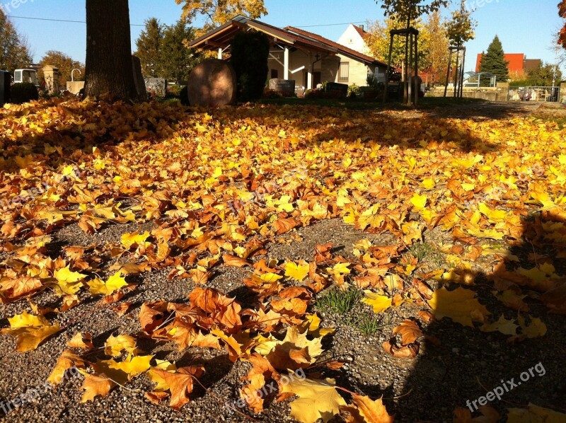 Cemetery Autumn Transience Leaves Golden Autumn