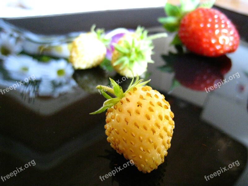 Wild Strawberry White Red Black Plate