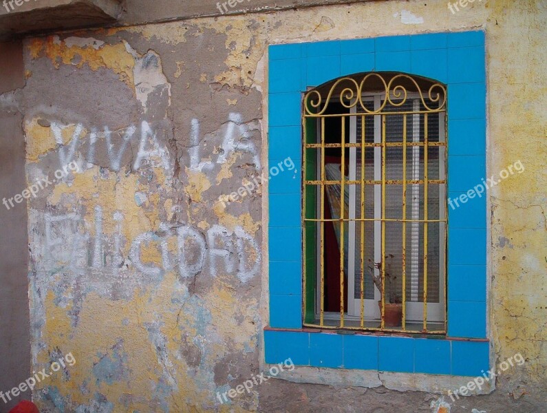 Window Flowers Blue Window Gratings Free Photos