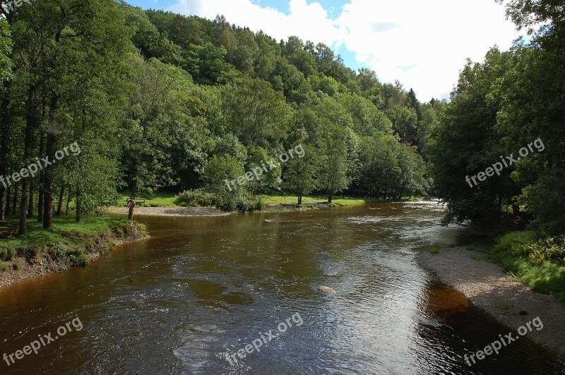 Sweden River Stream Water Forest