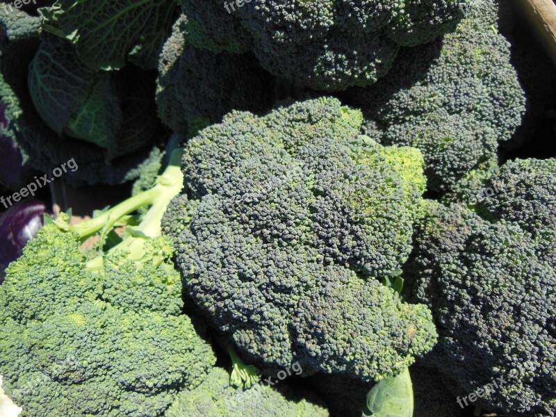 Broccoli Vegetables Fresh Vegetable Market Market Tasty