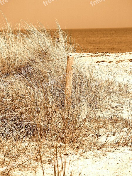 Beach Sand North Sea Free Photos