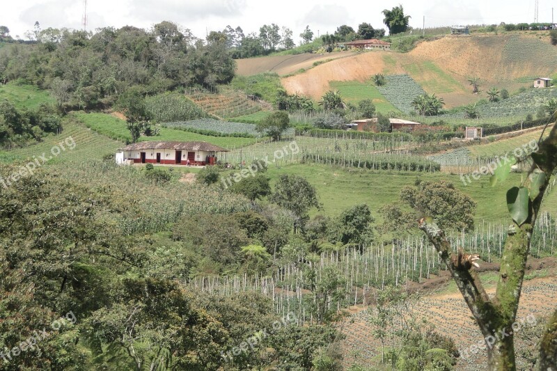 Rural Harvest Landscape Free Photos