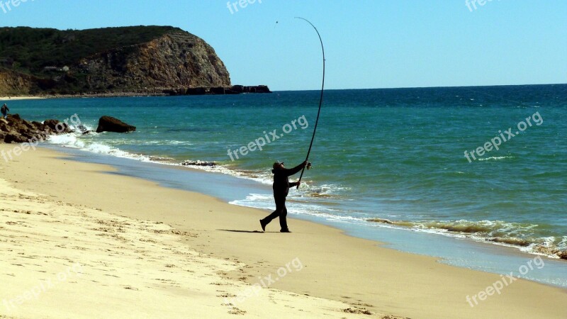 Fish Sea Fishing Catch Fish Passion