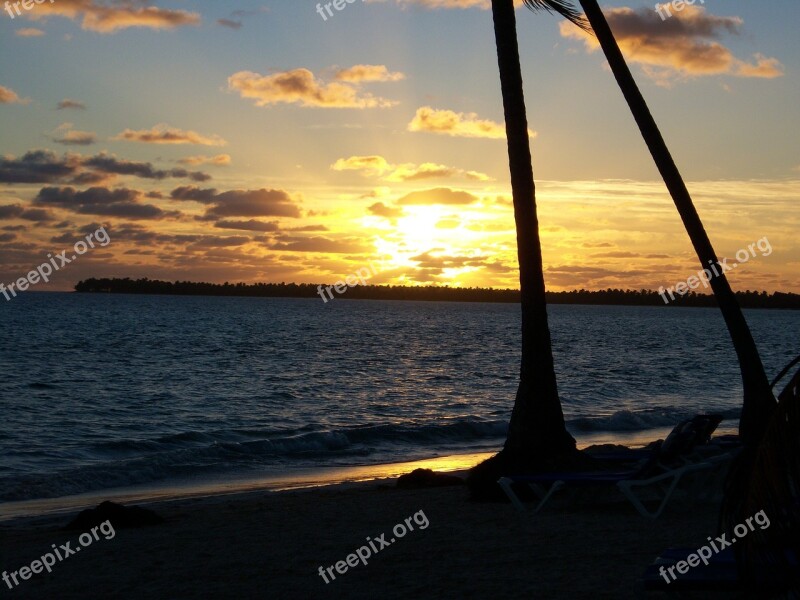 Beach Sunrise Palm Tree Sand Island