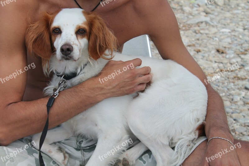 Dog Hug Fidelity Friendship Mammal