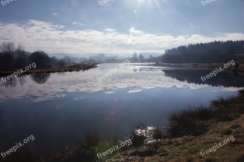 Pond Lake Water Landscape Nature