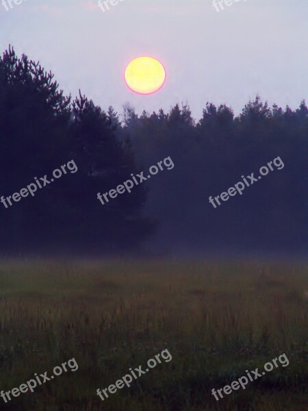 Dawn Glade Forest The Rising Sun Fog