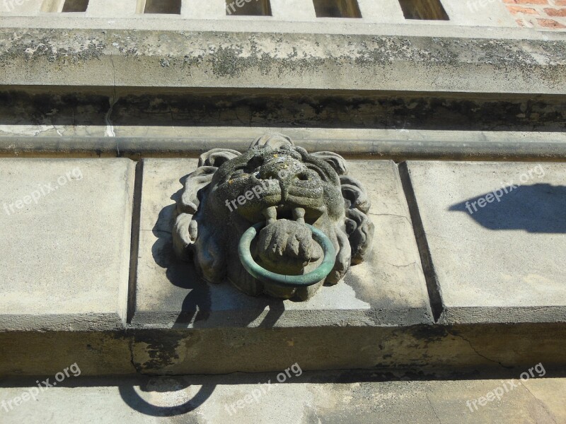 Old Town Hall Nyborg Town Hall Detail Ornament Lion's Head