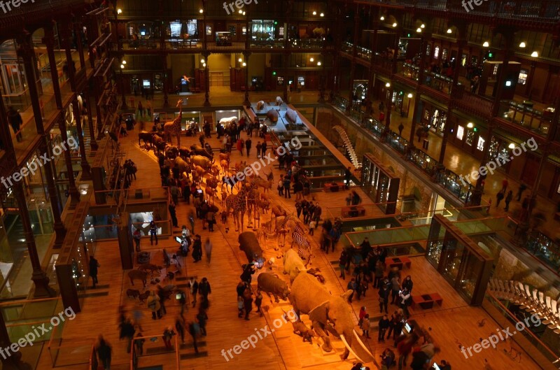 Paris France Museum Of Natural History Inside Interior