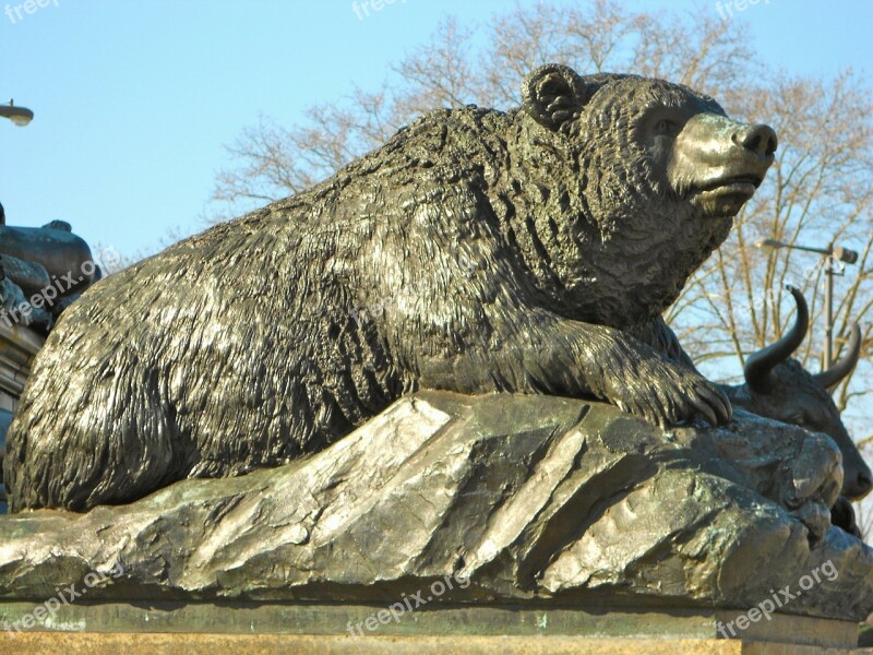 Philadelphia Pennsylvania Statue Bear Close-up