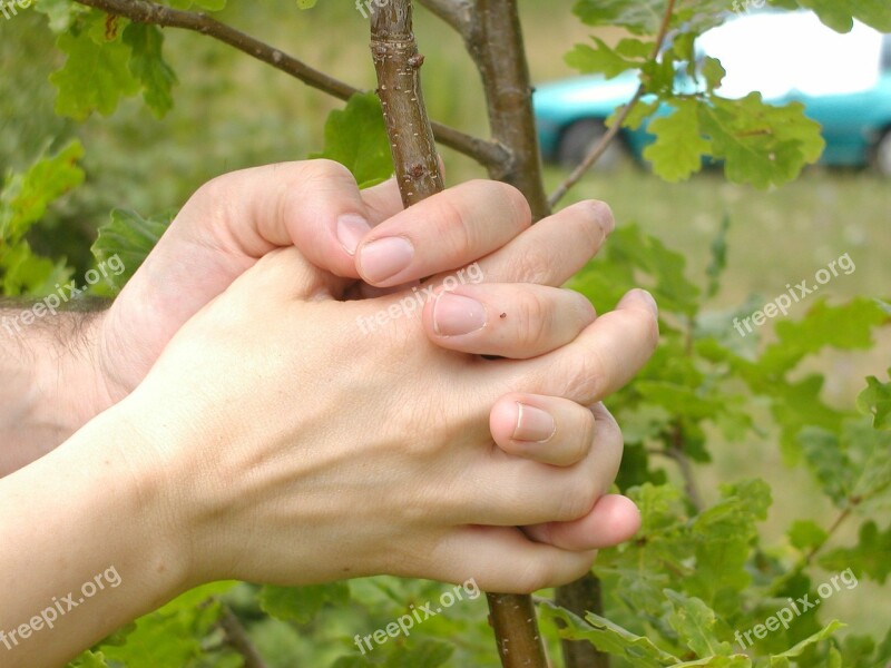 Hands Tree Finger Free Photos