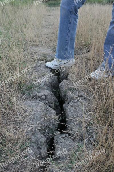 Cracked Earth Drought Field Grass