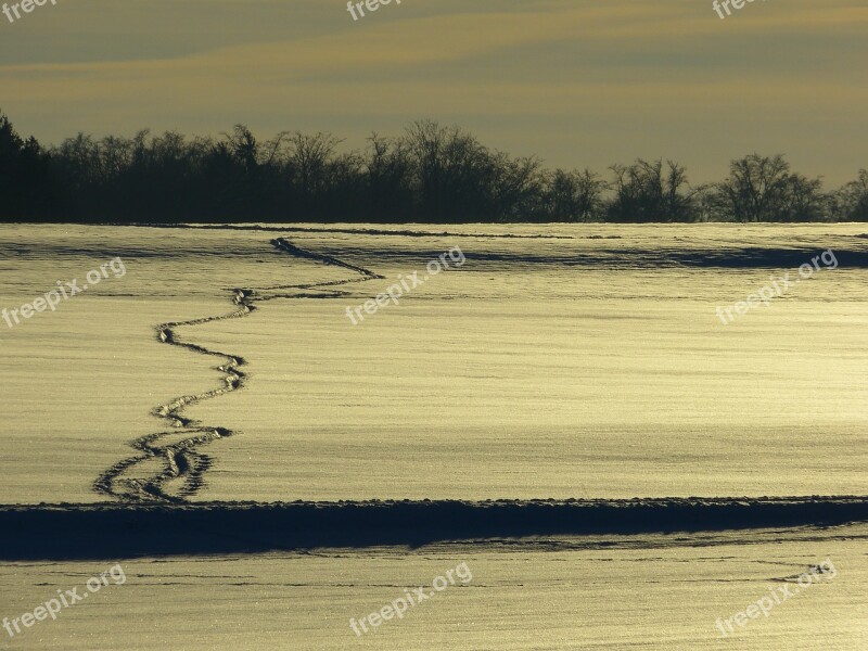 Wintry Winter Snow Backlighting Traces