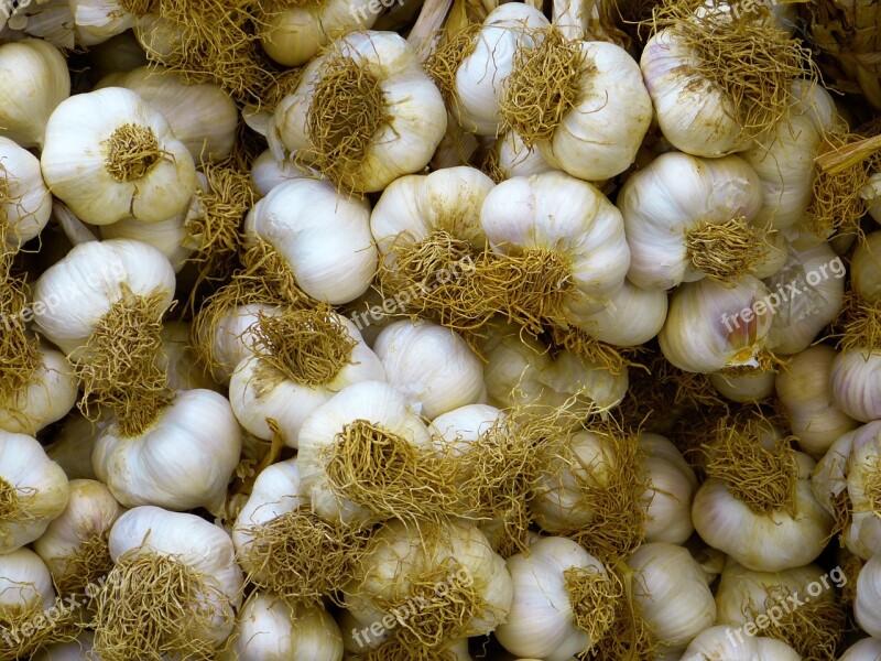 Garlic White Food Free Photos